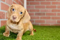 processed/8434c1e3-3117-4f86-8222-c838ca908755/listing/c6ae3b6f-1cf9-45d5-90d2-86fd226072bb/e39ee2fe-1d11-40d0-bc67-56d783279da2