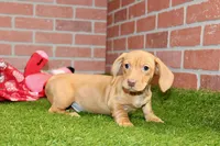 processed/8434c1e3-3117-4f86-8222-c838ca908755/listing/c6ae3b6f-1cf9-45d5-90d2-86fd226072bb/fc5a909c-fa1d-4b56-a0fe-0c913cd0815a