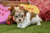 processed/8434c1e3-3117-4f86-8222-c838ca908755/listing/e1228207-f41e-4081-a18f-14774ce2d6b0/2ab1cc65-8696-405d-9408-24d7f2b789c1