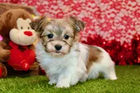 processed/8434c1e3-3117-4f86-8222-c838ca908755/listing/e1228207-f41e-4081-a18f-14774ce2d6b0/3efad199-35d7-4abc-991a-33169dafc086