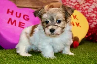 processed/8434c1e3-3117-4f86-8222-c838ca908755/listing/e1228207-f41e-4081-a18f-14774ce2d6b0/4f5f9a66-b5ad-415a-b1fc-99927f181527