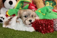 processed/8434c1e3-3117-4f86-8222-c838ca908755/listing/e1228207-f41e-4081-a18f-14774ce2d6b0/a26dc854-b12b-4f41-a16f-ede2e116af34