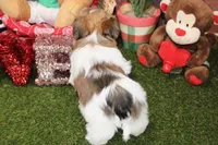 processed/8434c1e3-3117-4f86-8222-c838ca908755/listing/e1228207-f41e-4081-a18f-14774ce2d6b0/d734e486-55fa-473d-84cd-8052ff32020f