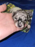 processed/844001df-3b33-4581-88ba-4a3c4687e6c0/listing/5ad0ccee-c99b-49ef-bf1f-de82342e0801/4c18e6e2-cdaf-41fe-b305-1b6a6eaefdec