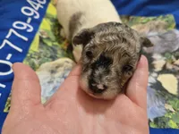 processed/844001df-3b33-4581-88ba-4a3c4687e6c0/listing/5ad0ccee-c99b-49ef-bf1f-de82342e0801/5ebf7f5a-3901-4f1b-adb7-fbaa9f48c1fc