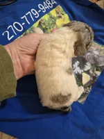 processed/844001df-3b33-4581-88ba-4a3c4687e6c0/listing/5ad0ccee-c99b-49ef-bf1f-de82342e0801/763b5954-fd40-47e0-951c-1c185a4e6708