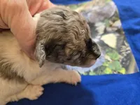 processed/844001df-3b33-4581-88ba-4a3c4687e6c0/listing/5ad0ccee-c99b-49ef-bf1f-de82342e0801/a5102fe4-ce6c-497f-bb02-4e59b5454936