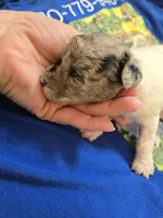 processed/844001df-3b33-4581-88ba-4a3c4687e6c0/listing/5ad0ccee-c99b-49ef-bf1f-de82342e0801/ad34f89e-2e57-42f1-aea4-f3592c28d96a