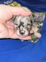 processed/844001df-3b33-4581-88ba-4a3c4687e6c0/listing/5ad0ccee-c99b-49ef-bf1f-de82342e0801/c6528eb9-9005-4197-9537-0a077b21ac85