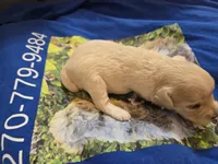 processed/844001df-3b33-4581-88ba-4a3c4687e6c0/listing/f265847a-19e3-4729-9aac-e29d2c048066/0d1f7326-0efe-42cf-b48f-9aa82d38417e