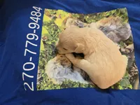 processed/844001df-3b33-4581-88ba-4a3c4687e6c0/listing/f265847a-19e3-4729-9aac-e29d2c048066/21078e15-fee8-47e1-88fb-99c4aad1522f