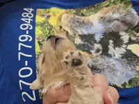 processed/844001df-3b33-4581-88ba-4a3c4687e6c0/listing/f265847a-19e3-4729-9aac-e29d2c048066/afc2b81b-32e8-4430-b36d-c0239129f990