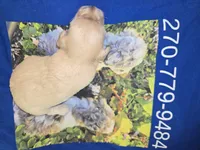 processed/844001df-3b33-4581-88ba-4a3c4687e6c0/listing/f265847a-19e3-4729-9aac-e29d2c048066/b2b03aea-65b0-458a-8439-631e5660f79e