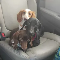 processed/84420f54-d531-4dfb-9b55-e2afd0f9771b/facility/1618fc4c-d68a-4dc2-9efa-cf935a88cb6e