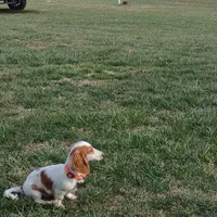 processed/84420f54-d531-4dfb-9b55-e2afd0f9771b/facility/227afbbf-6c7d-425a-bf67-0d4e8a0d09a4