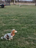 processed/84420f54-d531-4dfb-9b55-e2afd0f9771b/facility/227afbbf-6c7d-425a-bf67-0d4e8a0d09a4