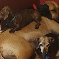 processed/84420f54-d531-4dfb-9b55-e2afd0f9771b/facility/53f407ed-b599-4f21-be01-28b629dbc93d