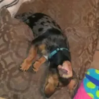 processed/84420f54-d531-4dfb-9b55-e2afd0f9771b/facility/5457bbcd-2364-4f6d-885f-767e3ce81d87