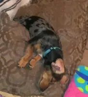 processed/84420f54-d531-4dfb-9b55-e2afd0f9771b/facility/5457bbcd-2364-4f6d-885f-767e3ce81d87