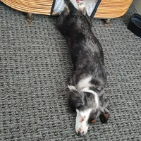 processed/84420f54-d531-4dfb-9b55-e2afd0f9771b/facility/5c60d657-1813-45a7-ab07-52cd17acd228