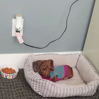 processed/84420f54-d531-4dfb-9b55-e2afd0f9771b/facility/95497817-1418-4f82-ac98-fa4201cd68e3