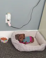 processed/84420f54-d531-4dfb-9b55-e2afd0f9771b/facility/95497817-1418-4f82-ac98-fa4201cd68e3