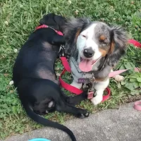 processed/84420f54-d531-4dfb-9b55-e2afd0f9771b/listing/75853a4e-cff0-4446-a2b0-cf8335129f17/0202e994-f40c-44f9-bf00-0b35908875e7