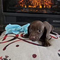 processed/84420f54-d531-4dfb-9b55-e2afd0f9771b/listing/75853a4e-cff0-4446-a2b0-cf8335129f17/69e3f3b0-250a-43e9-95c7-ccc468cfb065