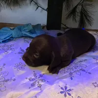 processed/84420f54-d531-4dfb-9b55-e2afd0f9771b/listing/75853a4e-cff0-4446-a2b0-cf8335129f17/75608c99-58d1-4650-b0d4-e376da7775cd