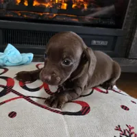 processed/84420f54-d531-4dfb-9b55-e2afd0f9771b/listing/75853a4e-cff0-4446-a2b0-cf8335129f17/a2af45a8-317a-4f69-ae7a-db0fd3441acf