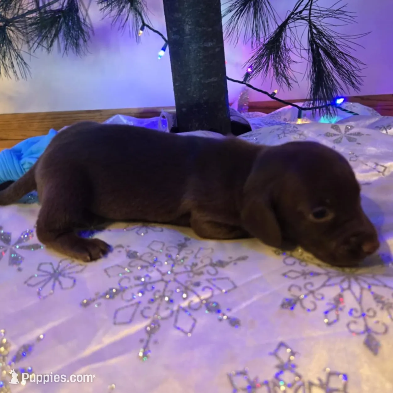 processed/84420f54-d531-4dfb-9b55-e2afd0f9771b/listing/75853a4e-cff0-4446-a2b0-cf8335129f17/b014524a-3883-479a-83ee-a83aa97dff7e