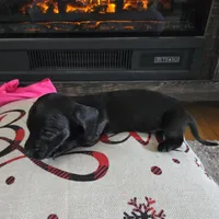 processed/84420f54-d531-4dfb-9b55-e2afd0f9771b/listing/d50e6323-fbc6-4e72-8dbf-0e869ae82667/1dde4ca5-0c7c-47ae-ba15-479cead7ab7a