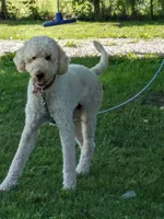 processed/8446ca32-d375-4a3f-990b-db03c4028a35/listing/0edcf6f4-b072-403c-9818-61766791fa51/3b28c314-6fde-4a88-808c-46c2805c352d