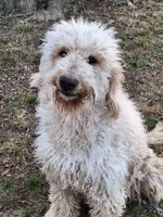 processed/8446ca32-d375-4a3f-990b-db03c4028a35/listing/0edcf6f4-b072-403c-9818-61766791fa51/99433ed2-5c44-4c32-8345-6c8eed4c99ec