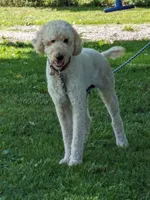 processed/8446ca32-d375-4a3f-990b-db03c4028a35/listing/0edcf6f4-b072-403c-9818-61766791fa51/c9b9574f-9b56-4ed2-8c15-42b85099f5eb