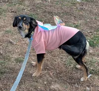 processed/8446ca32-d375-4a3f-990b-db03c4028a35/listing/4b16b8b2-2c9b-407c-b15e-1dc48c2e2573/136c45b1-3f13-44f6-b7cc-ee1e2b420c72