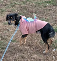 processed/8446ca32-d375-4a3f-990b-db03c4028a35/listing/4b16b8b2-2c9b-407c-b15e-1dc48c2e2573/56c8fd6f-71c7-4ea4-bda0-5201ad3b2f26