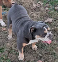 processed/8446ca32-d375-4a3f-990b-db03c4028a35/listing/90809af8-7720-4ae9-9f19-4b562fb4496e/8185da53-5a94-449e-b640-7f9a58c16625