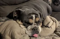 processed/8446ca32-d375-4a3f-990b-db03c4028a35/listing/90809af8-7720-4ae9-9f19-4b562fb4496e/abbd5b08-f755-4521-a9a2-2b48482e0e7e