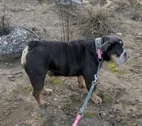 processed/8446ca32-d375-4a3f-990b-db03c4028a35/listing/90809af8-7720-4ae9-9f19-4b562fb4496e/eab3d475-6a30-4ff4-8c40-83ca1a0a6f18