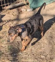 processed/8446ca32-d375-4a3f-990b-db03c4028a35/listing/df2185a8-9592-4c64-9077-e7d57cb4d2ef/026e58a3-c36f-4cf6-955f-55b70ec3de3c