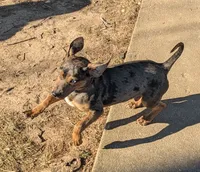 processed/8446ca32-d375-4a3f-990b-db03c4028a35/listing/df2185a8-9592-4c64-9077-e7d57cb4d2ef/265b6626-b05b-4f6c-b73d-7f43914da479