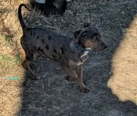 processed/8446ca32-d375-4a3f-990b-db03c4028a35/listing/df2185a8-9592-4c64-9077-e7d57cb4d2ef/732c0380-6eae-4eec-a6a8-c3c1c1907f72