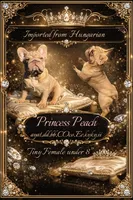 Peaches, a female French Bulldog for sale in Oneonta, NY – 2 of 3