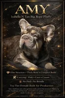 Amy with Pink, a female French Bulldog for sale in Oneonta, NY – 2 of 9