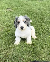 processed/84630c28-9928-4892-9186-8e26ec39d3ae/listing/2837c47f-3e33-4636-9230-dce4550b6b4e/12d5b54e-61a8-488c-8e3f-4e264a3c6fa7