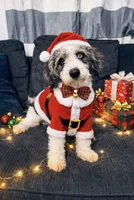 processed/84630c28-9928-4892-9186-8e26ec39d3ae/listing/2837c47f-3e33-4636-9230-dce4550b6b4e/6d13a511-bc2b-440d-afec-b14529356736