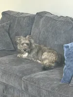 processed/84630c28-9928-4892-9186-8e26ec39d3ae/listing/88aee01d-f698-4dae-a0f4-60591340422f/50f01cb3-54af-4b36-920b-cf7d004d8660