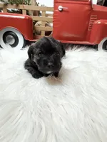 processed/84630c28-9928-4892-9186-8e26ec39d3ae/listing/88aee01d-f698-4dae-a0f4-60591340422f/98f93b9f-b7b6-49a0-bbfd-e9f695572a7c