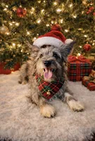 processed/84630c28-9928-4892-9186-8e26ec39d3ae/listing/ab10296b-ec74-4ec7-9ee9-44f3e9392e7a/fc00272e-c825-4eec-bfad-723e2fd9cdb6